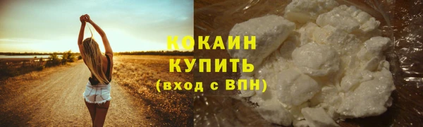 крисы Дмитровск