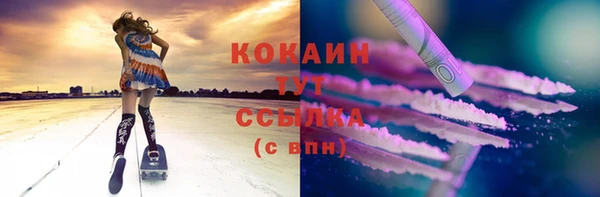 стафф Осинники
