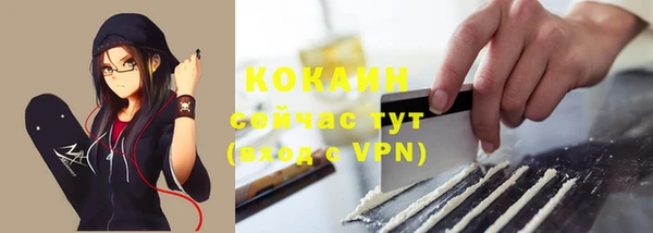 крисы Дмитровск