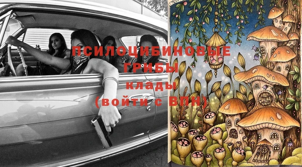 стафф Осинники