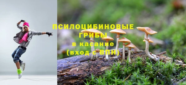 стафф Осинники